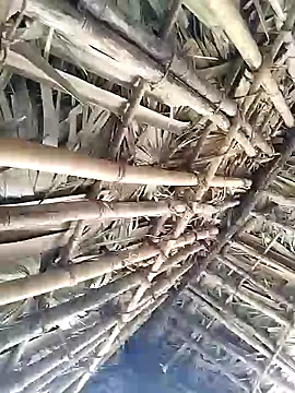 Mrveda66 online show from 02.09.26