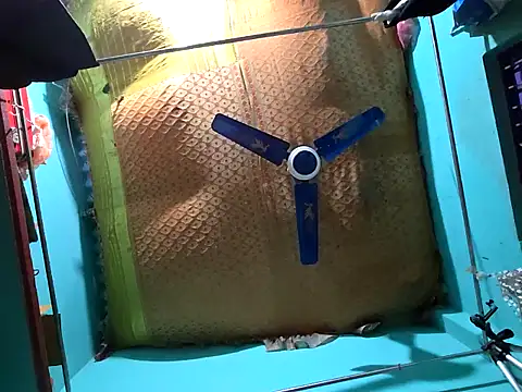 hotbaby 5 online show from 12.14.24