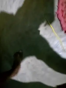 hotbaby 5 online show from 01.05.25