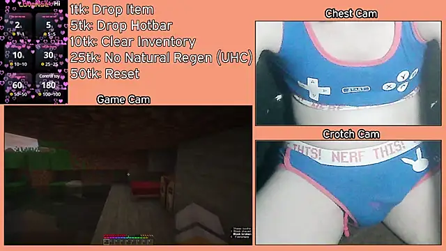 Snapshot of FoxieHikari chatting on 03.19.25 FoxieHikari online show from 03.19.25