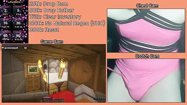 Snapshot of FoxieHikari chatting on 03.21.25 FoxieHikari online show from 03.21.25