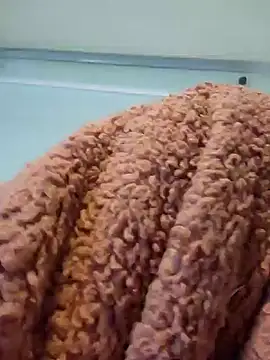 911Calling online show from 12.14.24