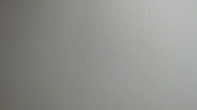 sussy leon online show from 03.13.25