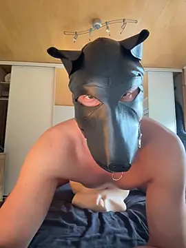 PlayDog123 online show from 10.16.25