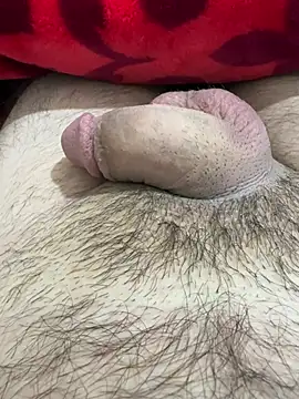 TheArabicGuyx online show from 02.25.26