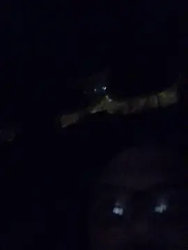 Snapshot of Watson4U chatting on 12.13.24 Watson4U online show from 12.13.24