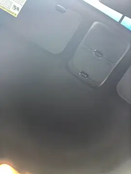 Snapshot of Watson4U chatting on 12.20.24 Watson4U online show from 12.20.24