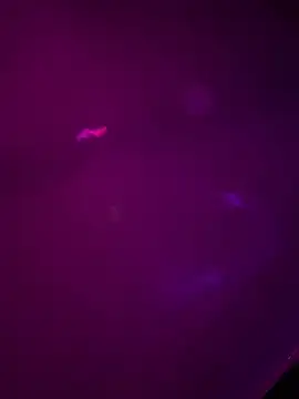 Alahia7demon online show from 03.22.26