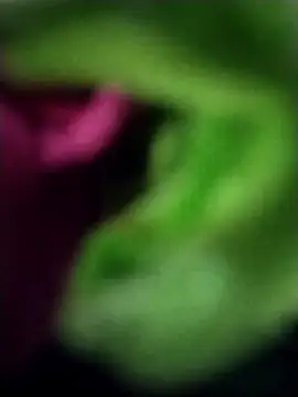 heartless  95 online show from 03.23.25