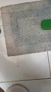 lobomisterioso13 online show from 01.30.25