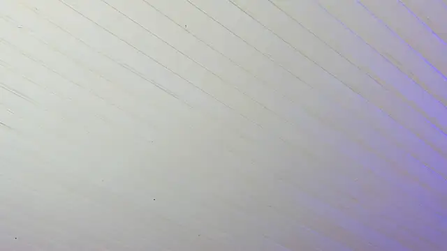 Ammy nova online show from 12.17.25