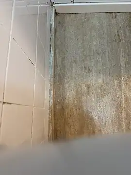 reelciii21 online show from 03.23.25