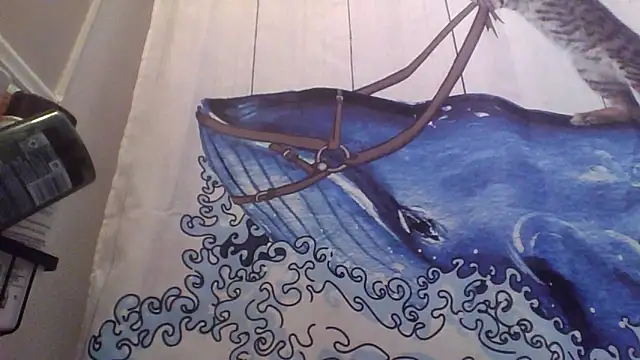 clitstitsandbongrips online show from 09.16.25