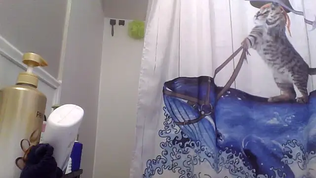 clitstitsandbongrips online show from 11.25.25