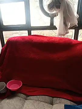 Snapshot of Tefannyy_ chatting on 06.17.26 Tefannyy online show from 06.17.26
