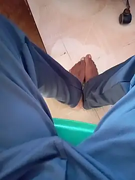 Andrapradesh online show from 12.02.25