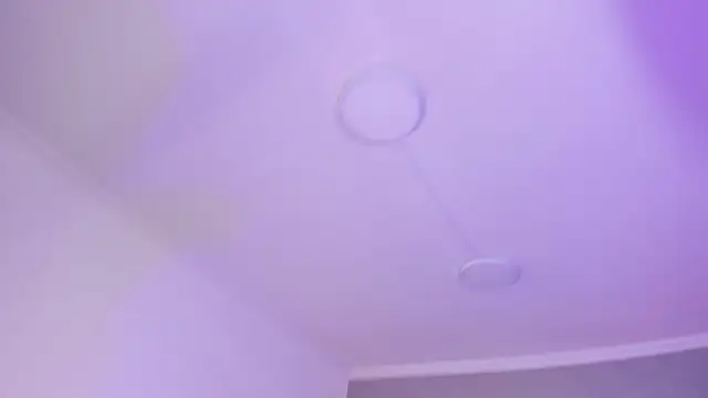 AmberiniHoffman online show from 01.17.25