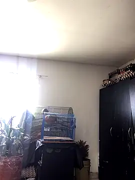 Miss oliviaa online show from 10.22.25