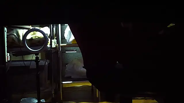 Snapshot of qoooqing67 chatting on 12.15.24 qoooqing67 online show from 12.15.24