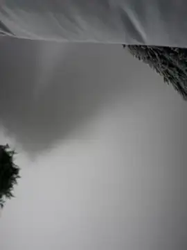 Aryrosee online show from 01.03.25