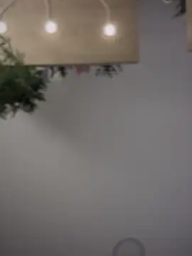 Aryrosee online show from 09.12.25