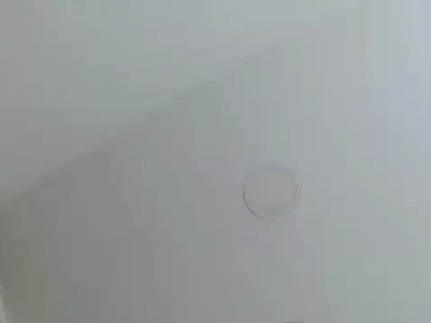 milfevha online show from 02.26.26