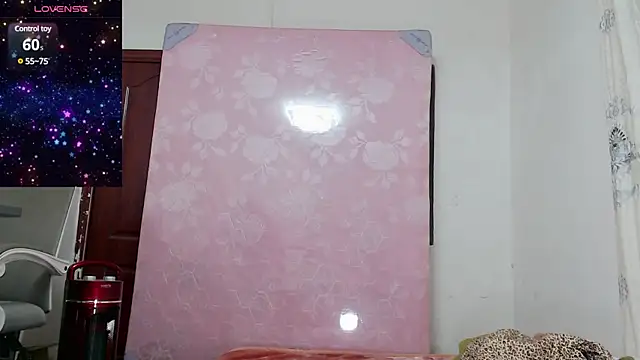 baoer-558 online show from 12.18.24