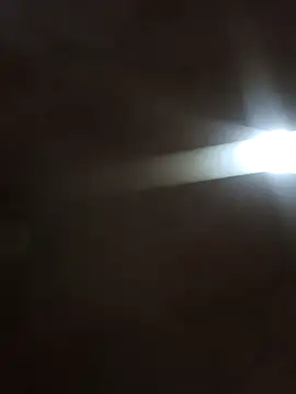  violetta - online show from 10.10.25