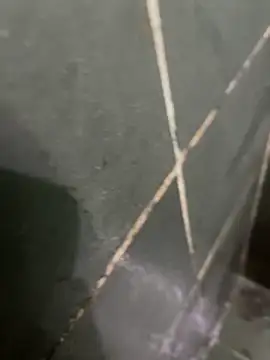 Snapshot of gzn01 chatting on 10.28.25 gzn01 online show from 10.28.25