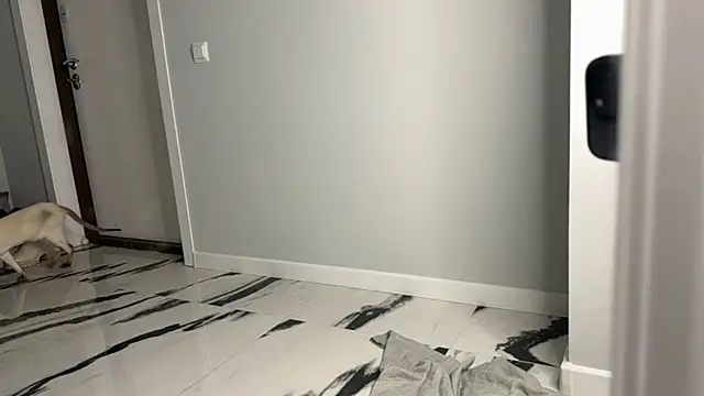 elisa moon online show from 12.23.24