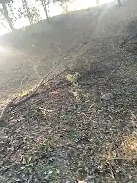 jellydicks online show from 02.21.26