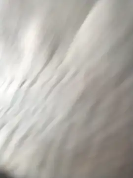 jellydicks online show from 03.23.26