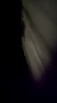 BurroParao online show from 12.05.24