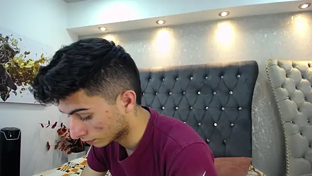 Snapshot of MrWilliseo chatting on 01.31.25 MrWilliseo online show from 01.31.25