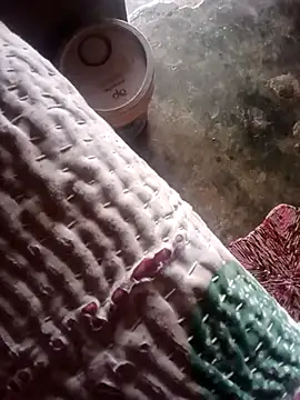 Snapshot of poojaji2024 chatting on 03.23.25 poojaji2024 online show from 03.23.25