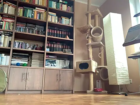 Bula94193 online show from 02.07.25