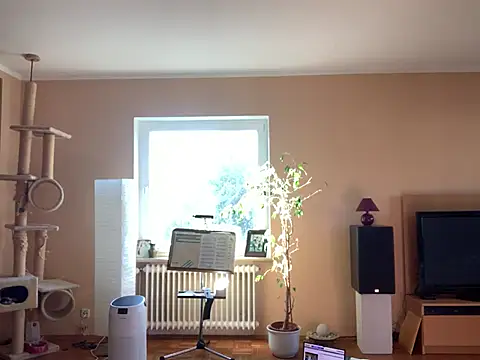 Bula94193 online show from 03.08.25