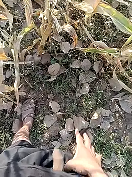 Piyush 2024 online show from 03.11.26