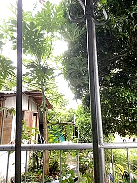 Jestebanano online show from 10.18.25