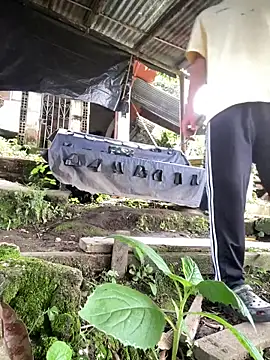 Jestebanano online show from 03.11.26