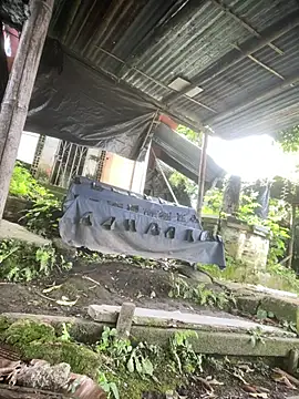 Jestebanano online show from 04.19.26