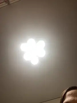 Snapshot of Janet_Welder chatting on 11.16.25 Janet Welder online show from 11.16.25