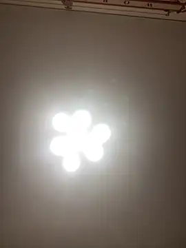 Snapshot of Janet_Welder chatting on 11.16.25 Janet Welder online show from 11.16.25