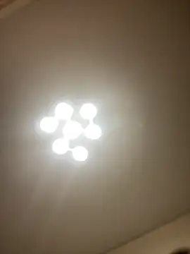 Janet Welder online show from 03.11.26