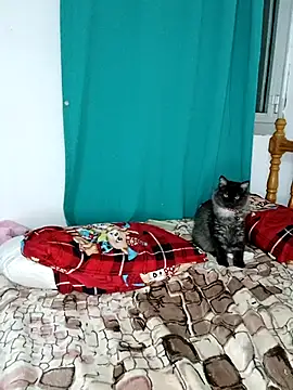 Snapshot of sama0012 chatting on 02.19.25 sama0012 online show from 02.19.25