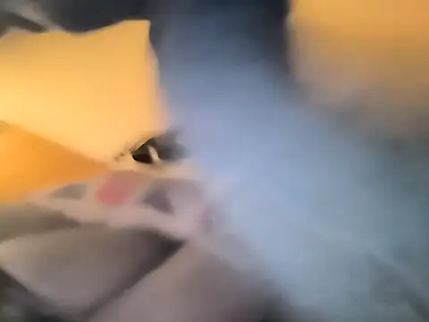 Snapshot of bogland33 chatting on 02.21.26 bogland33 online show from 02.21.26