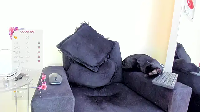 its  angelica  online show from 11.19.25