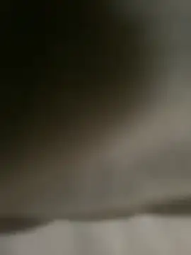 DINA-FOX online show from 02.01.25