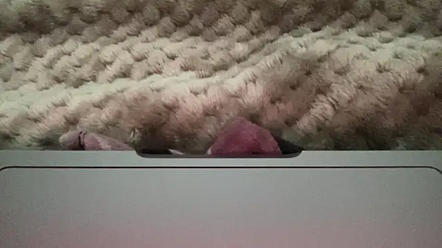 thick n hard online show from 12.14.24