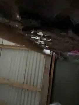 Snapshot of Masked-Minx-Mia chatting on 12.06.24 Masked-Minx-Mia online show from 12.06.24